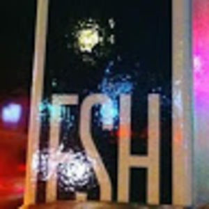 Meet your Posher, Elaine s